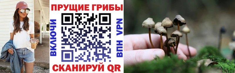 Купить  Бийск  Галлюциногенные грибы мухоморы